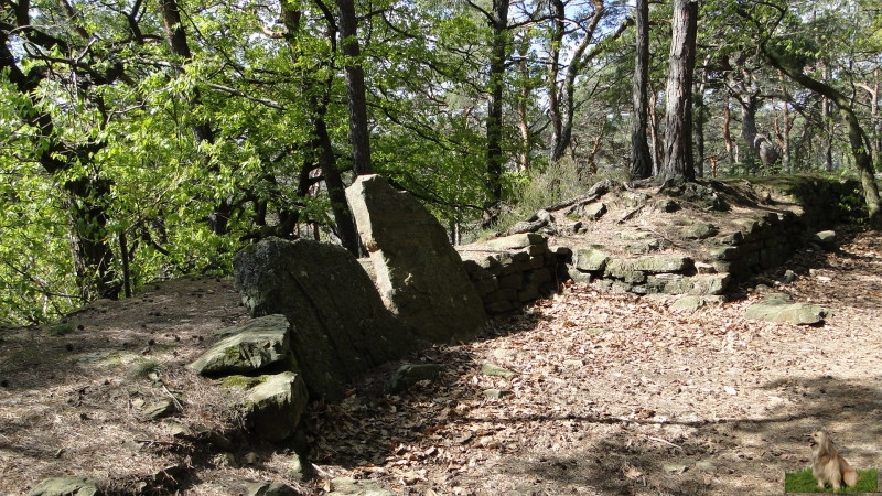 Ritterstein Nr. 260-7 Heidenlöcher - Fliehburg 9.-10.Jhd..JPG - Ritterstein Nr.260 Heidenlöcher - Fliehburg 9.-10.Jhd.